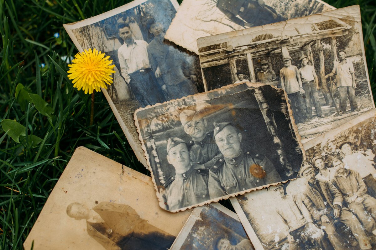 Photos de famille et militaires sur l'herbe